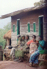 Park Rangers