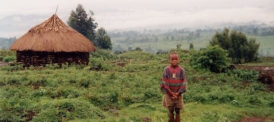 Typical View