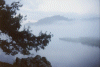 Dawn Mist