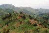 Farmland
