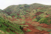 Farmland