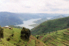 View Point
