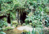 Botanical Gardens, Rio