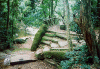 Botanical Gardens, Rio