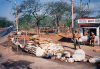 Police Post