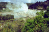 "Whaka" Thermal Reserve
