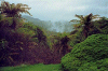 Waimangu Thermal Area