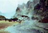 Waimangu Thermal Area