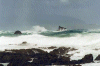 Island Bay