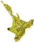 North Island
