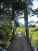 Suspension Bridge