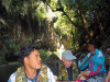 Rafting