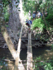 Bamboo Bridge