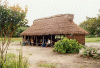 Jungle accommodation
