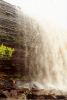 Canaima