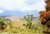 Mt Roraima
