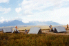 Camp