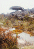 Roraima