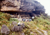 Roraima