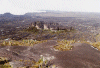 Roraima