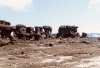 Roraima