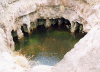 Roraima